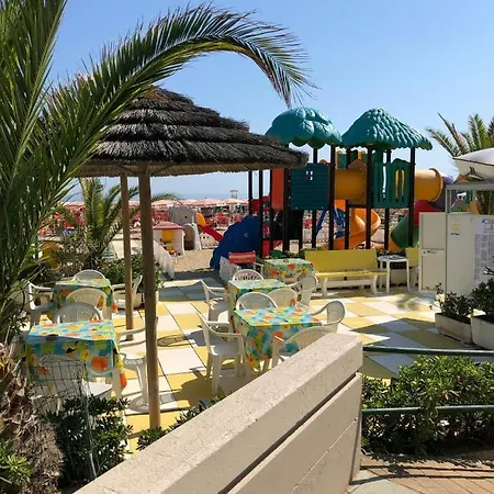 International Senigallia