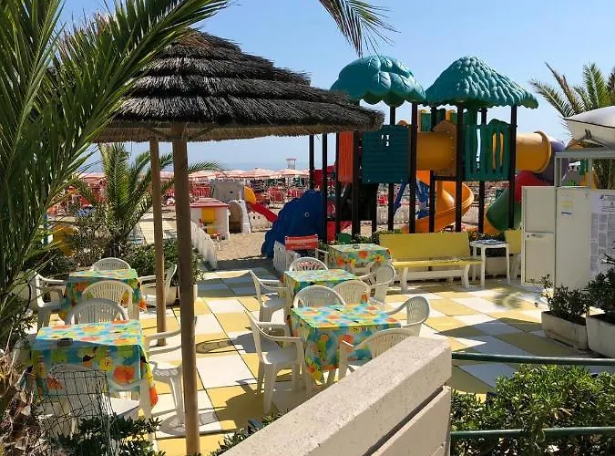 International 세니갈리아