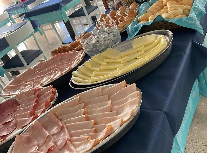 International 세니갈리아